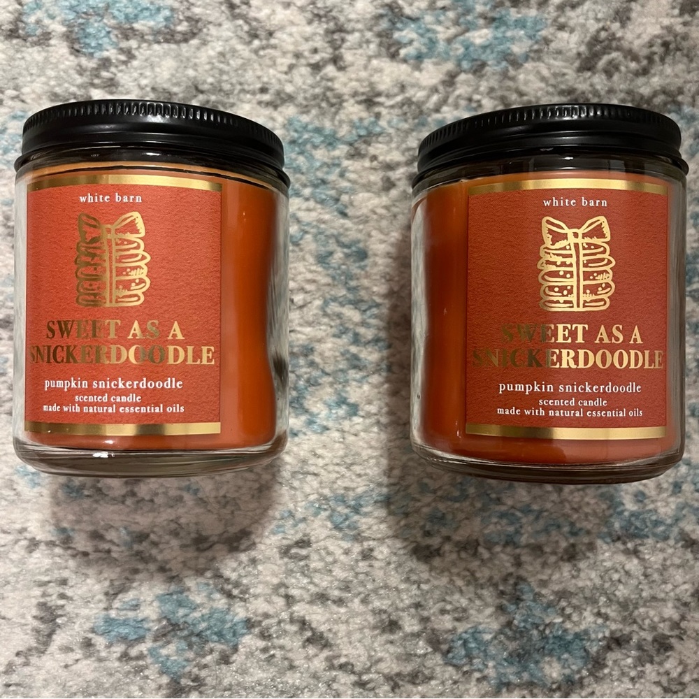 Bath & Body Works Pumpkin Snickerdoodle Single Wick Candles